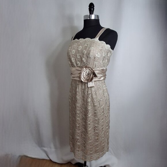 R&M Richards PLUS 14W EMPIRE Stretch Lace Satin Cocktail Party Dress Champagne - Picture 3 of 16